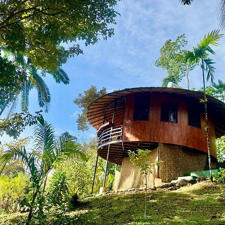 Paradiselodge Jungleguesthouse Platanillo 외부 사진