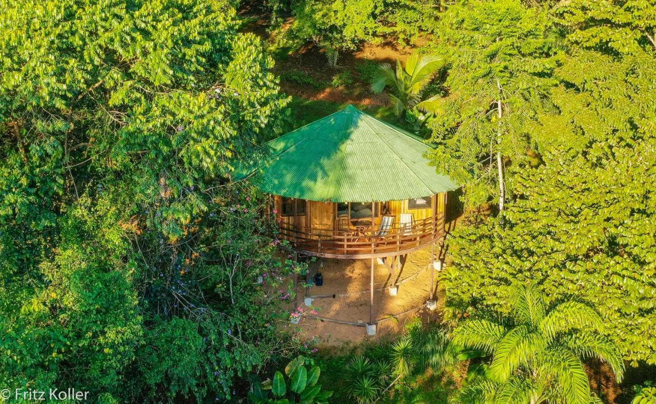 Paradiselodge Jungleguesthouse Platanillo 외부 사진