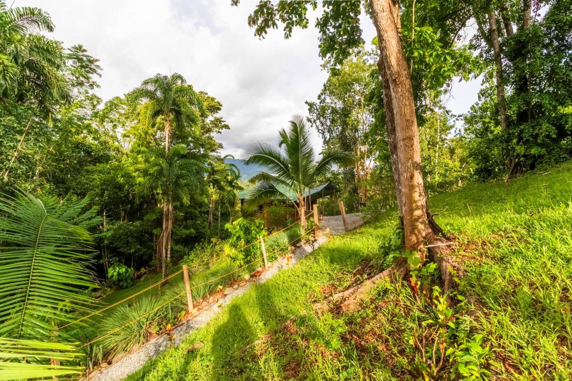 Paradiselodge Jungleguesthouse Platanillo 외부 사진