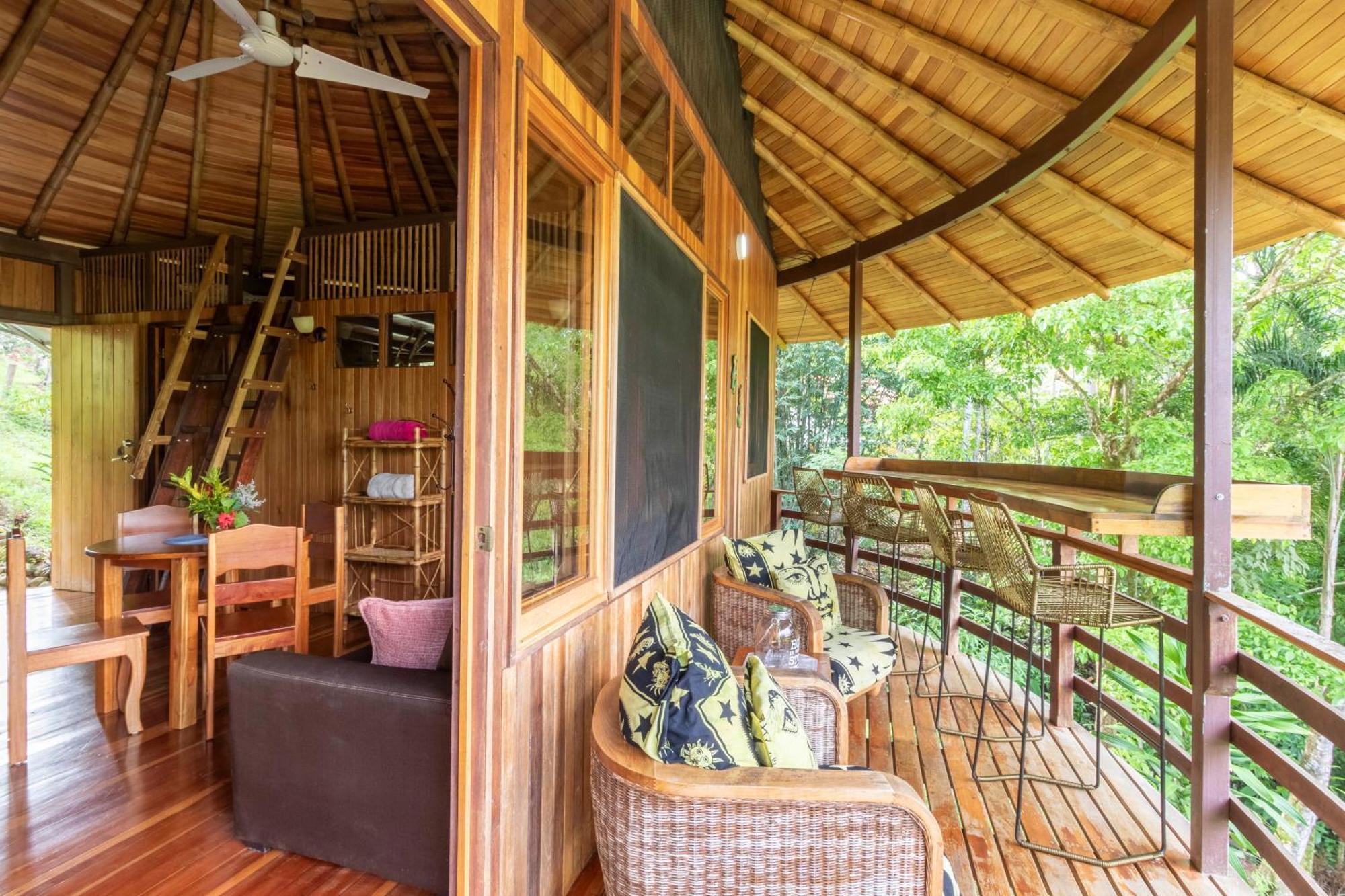Paradiselodge Jungleguesthouse Platanillo 외부 사진