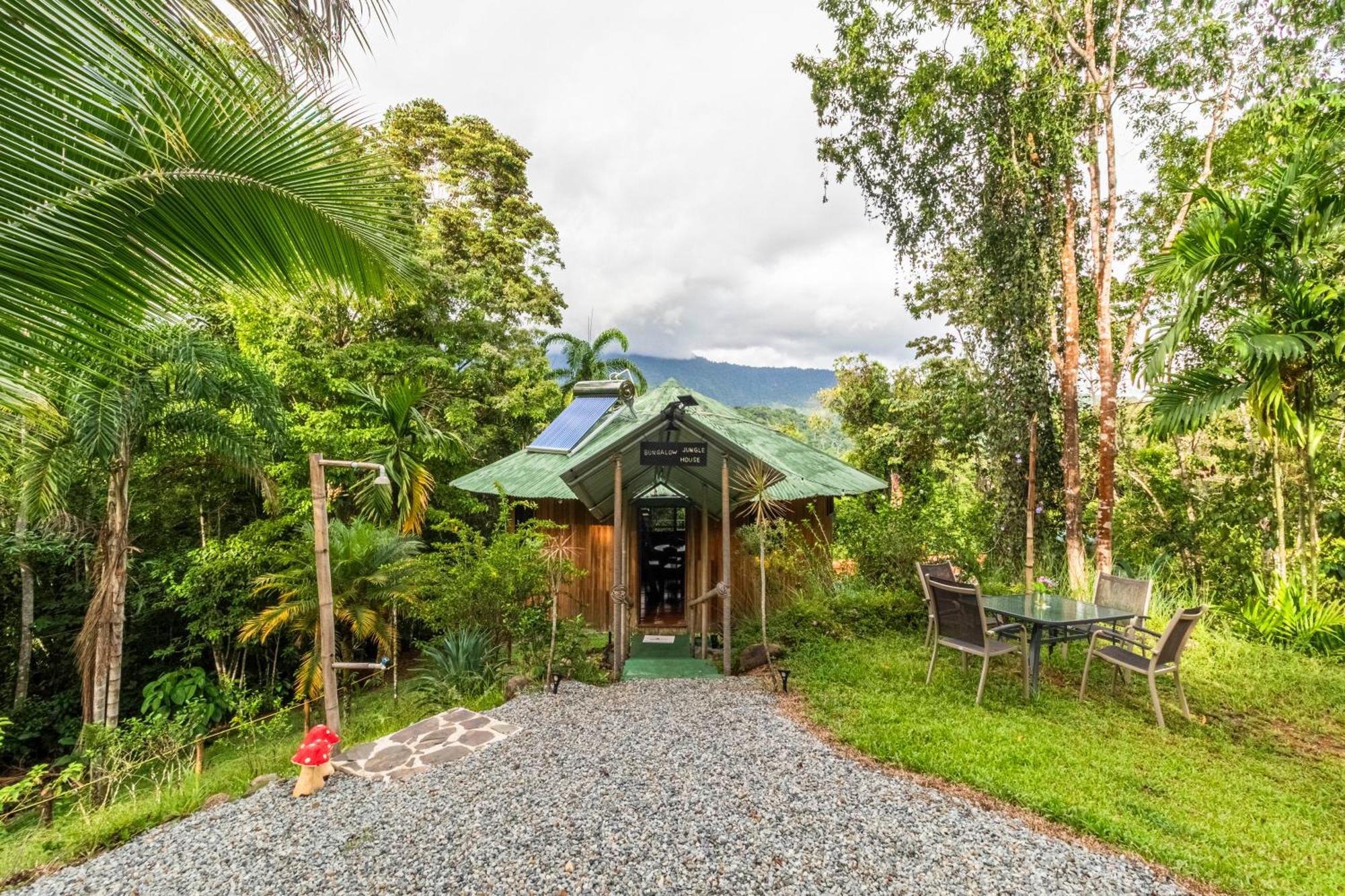 Paradiselodge Jungleguesthouse Platanillo 외부 사진