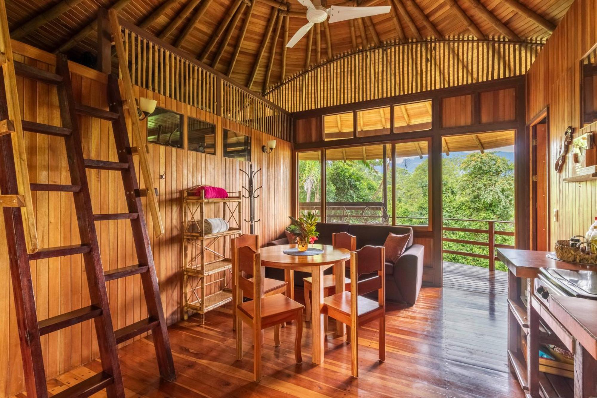 Paradiselodge Jungleguesthouse Platanillo 외부 사진
