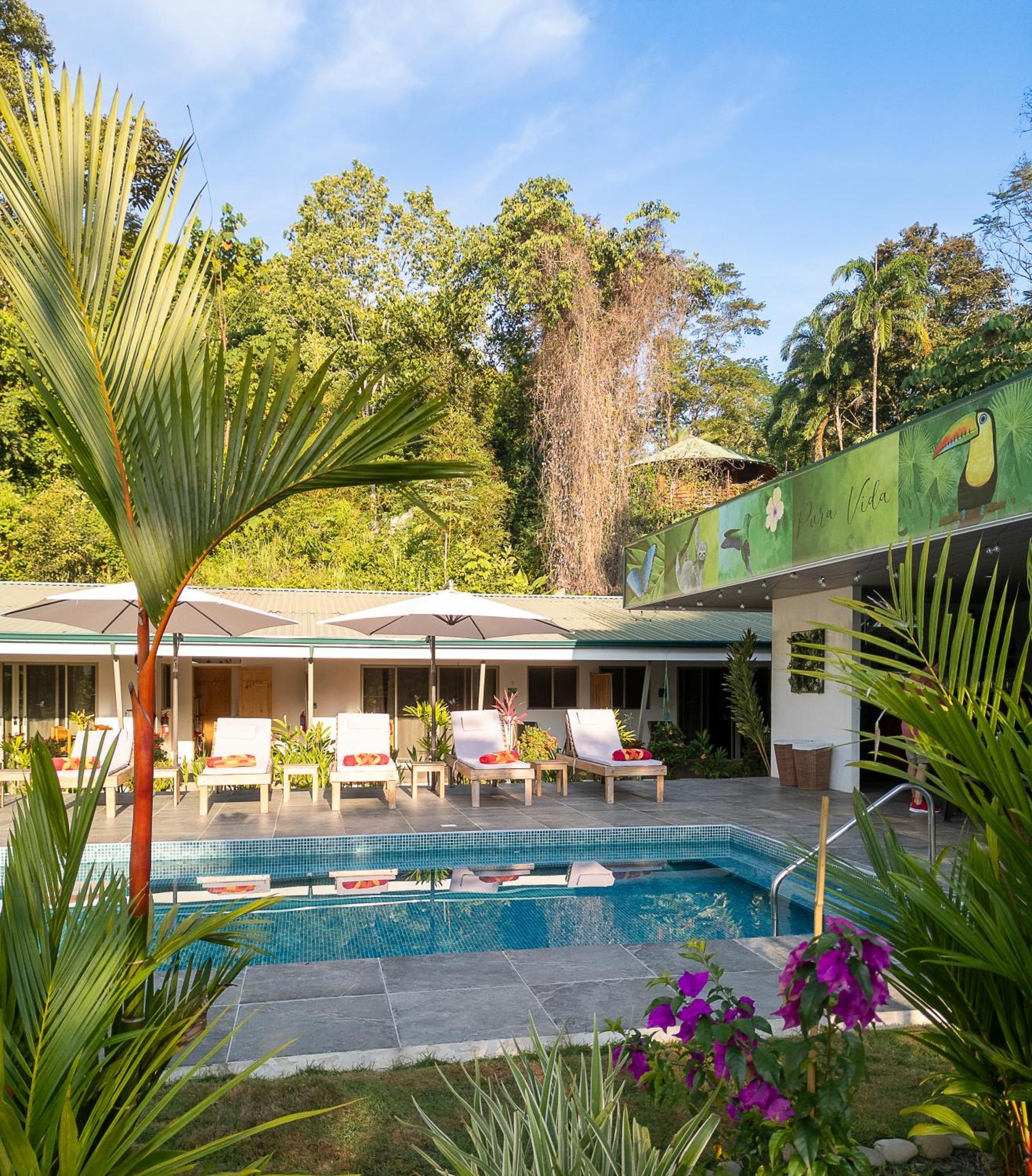 Paradiselodge Jungleguesthouse Platanillo 외부 사진