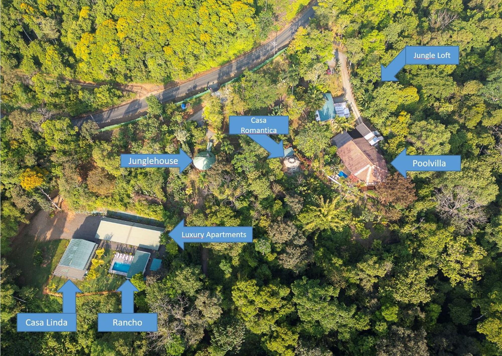 Paradiselodge Jungleguesthouse Platanillo 외부 사진