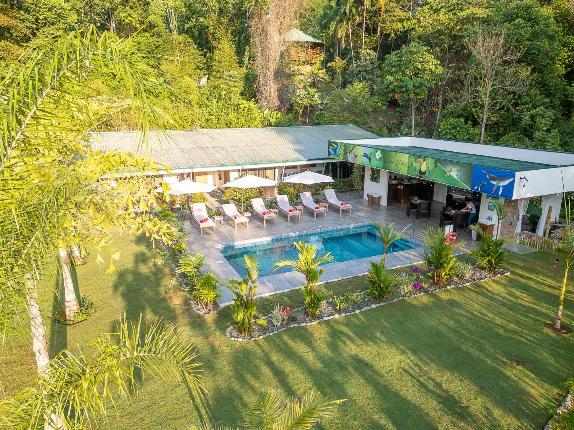 Paradiselodge Jungleguesthouse Platanillo 외부 사진