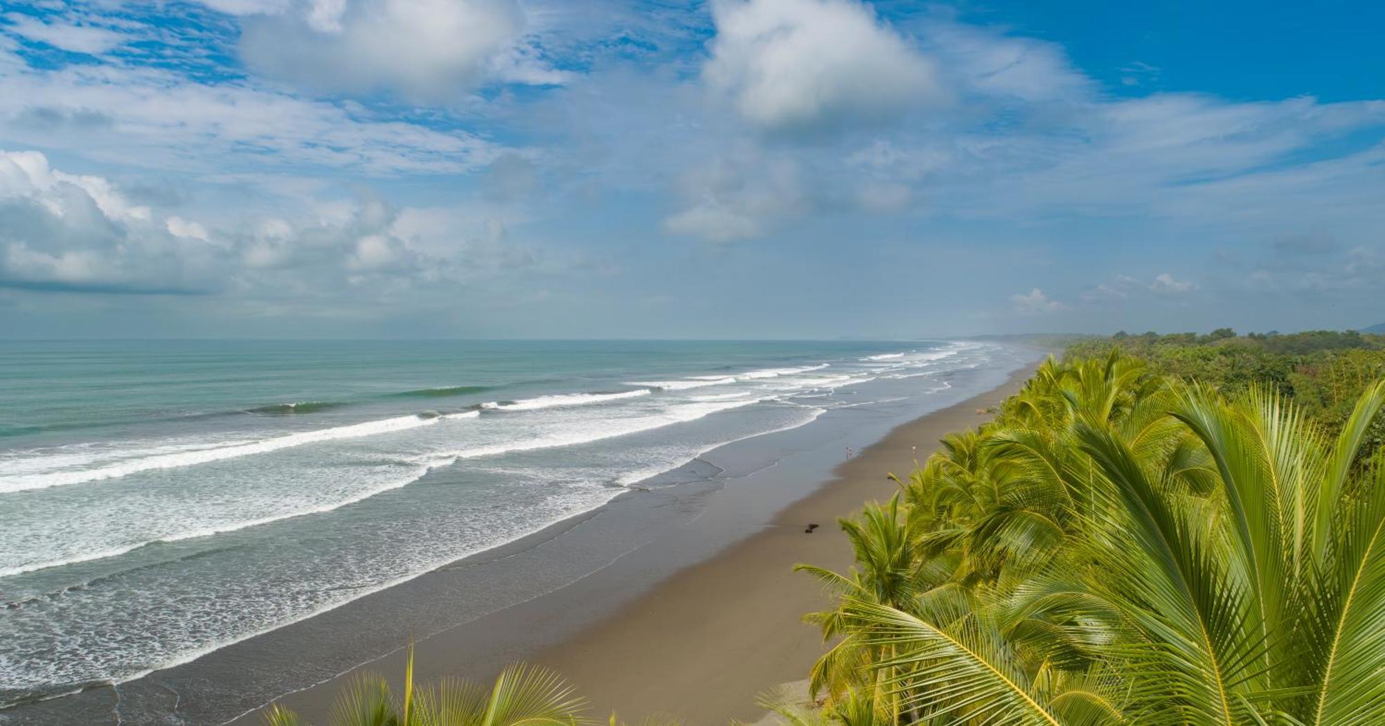 Paradiselodge Jungleguesthouse Platanillo 외부 사진