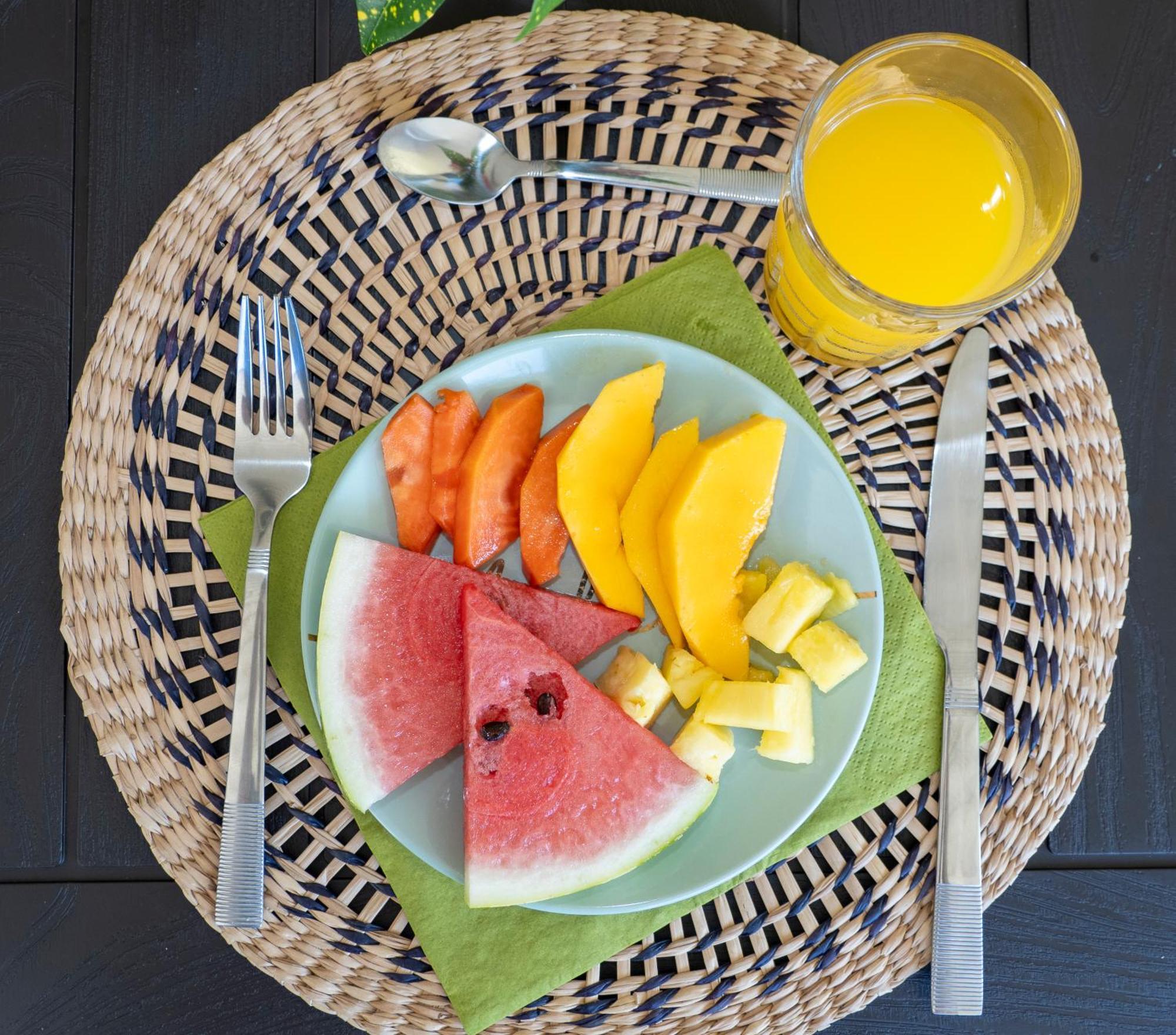 Paradiselodge Jungleguesthouse Platanillo 외부 사진