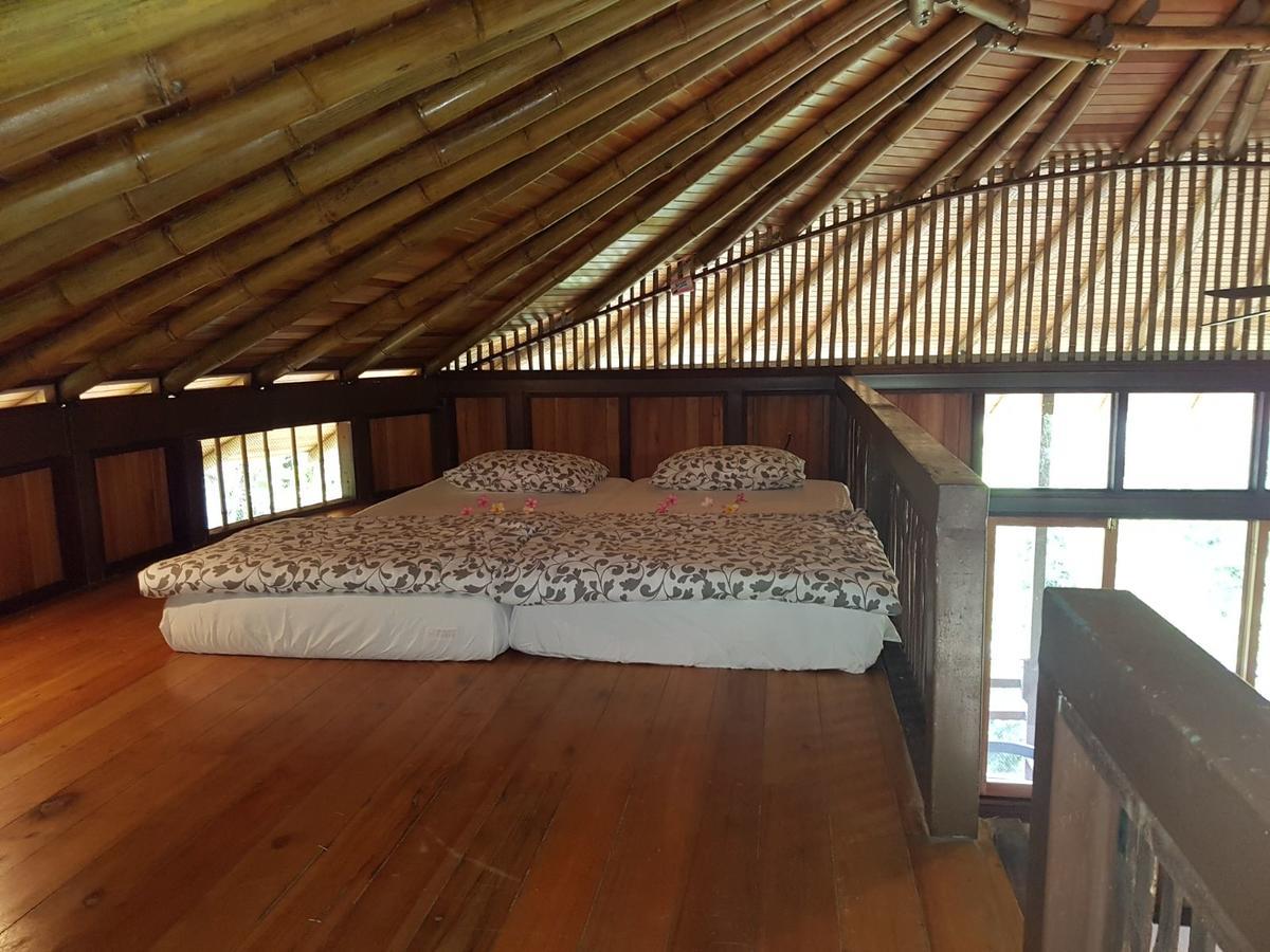 Paradiselodge Jungleguesthouse Platanillo 외부 사진