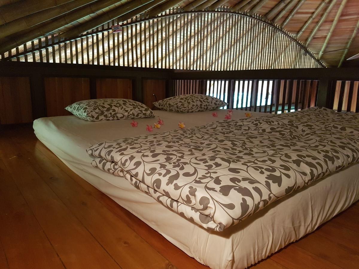 Paradiselodge Jungleguesthouse Platanillo 외부 사진