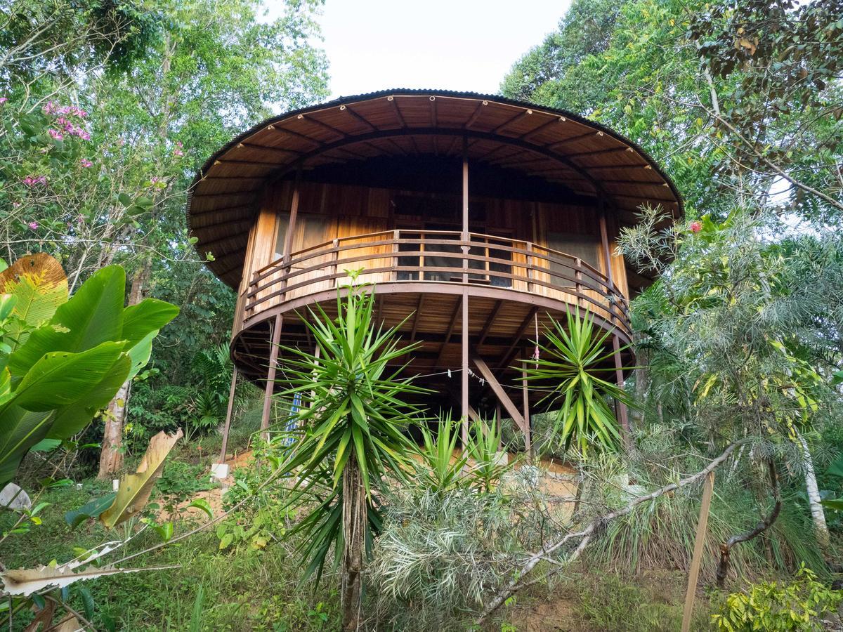 Paradiselodge Jungleguesthouse Platanillo 외부 사진