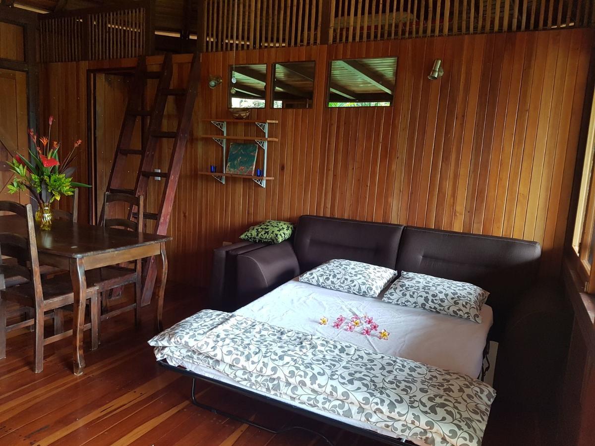 Paradiselodge Jungleguesthouse Platanillo 외부 사진