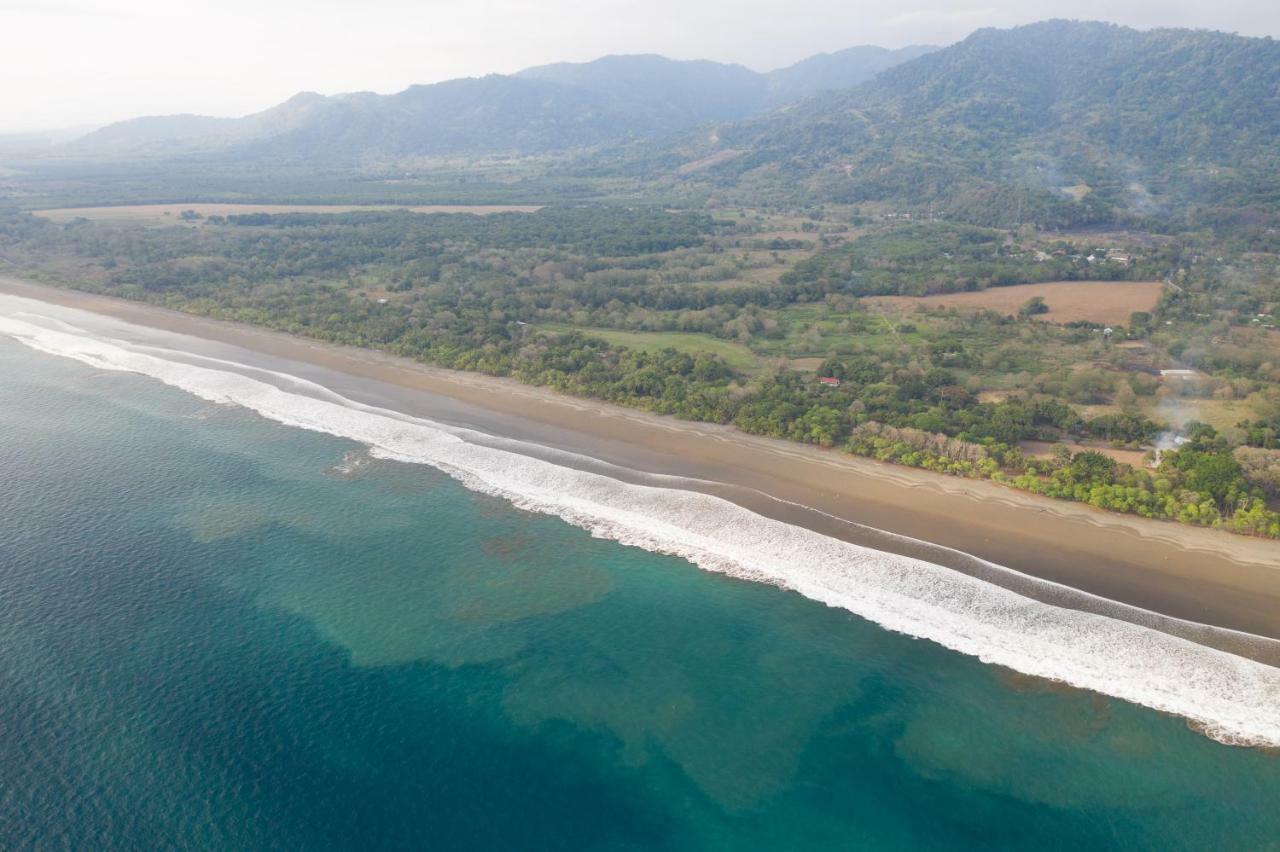 Paradiselodge Jungleguesthouse Platanillo 외부 사진